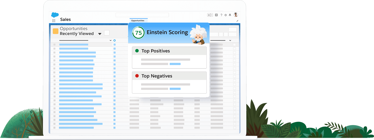 Salesforce Einstein Lead Scoring image